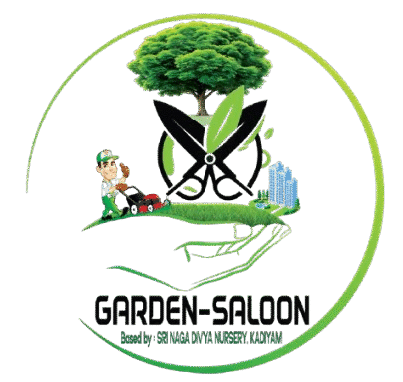 cropped-WhatsApp_Image_2025-04-17_at_12.26.34_PM-removebg-preview.png